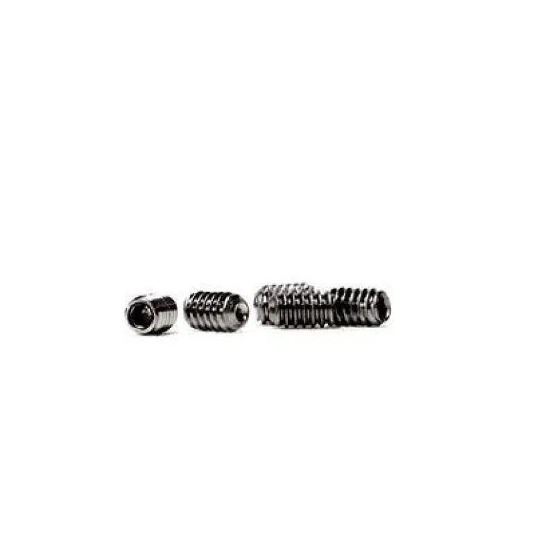 FCS Replacement Key and Screws