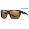 Smith Barra Matte Tort/Brown Chroma Pop Sunglasses